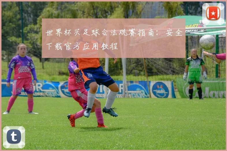 世界杯买足球合法观赛指南：安全下载官方应用教程