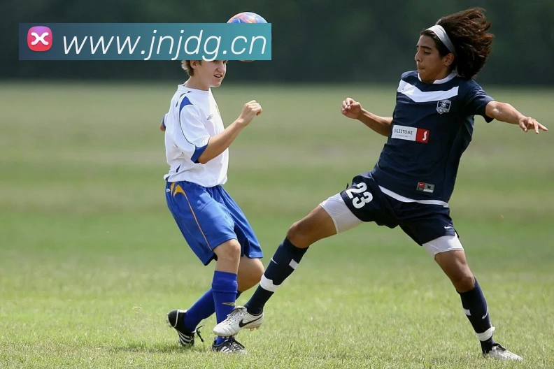 开云官方网页版在线登陆服务体系